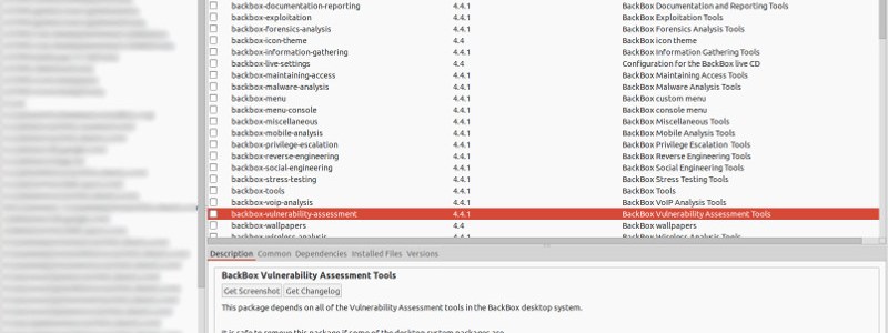 backbox-penetration-testing