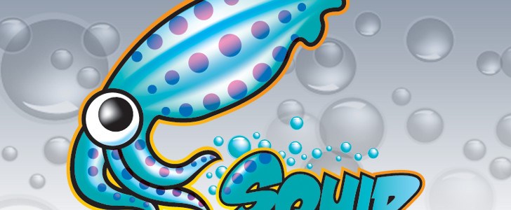 egkatastasi-rithmisi-squid-proxy