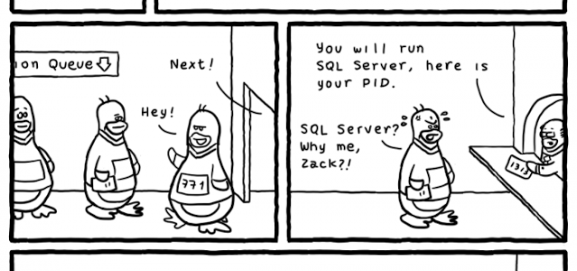 sql-server-se-linux