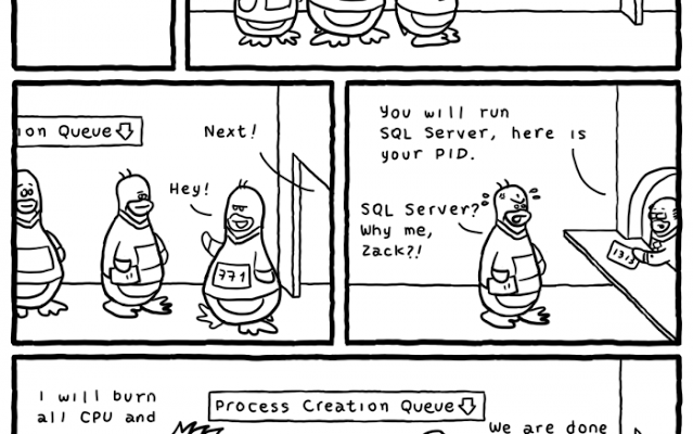 sql-server-se-linux