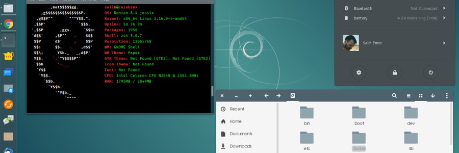 metavasi-apo-unity-se-gnome-shell