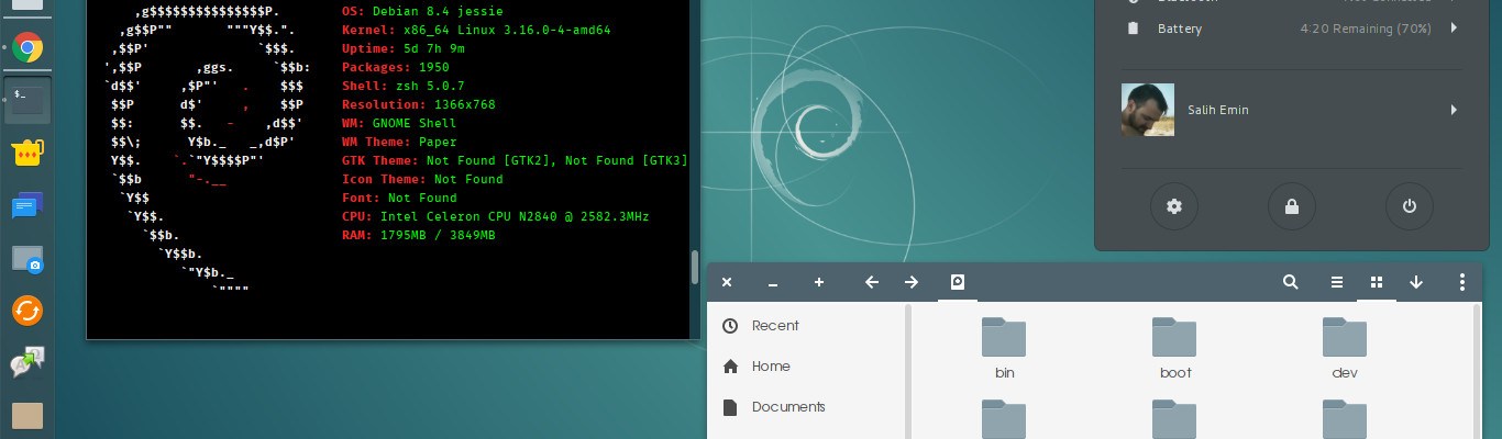 metavasi-apo-unity-se-gnome-shell