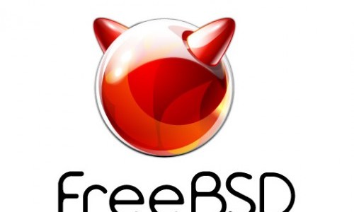 egatastasi-freebsd