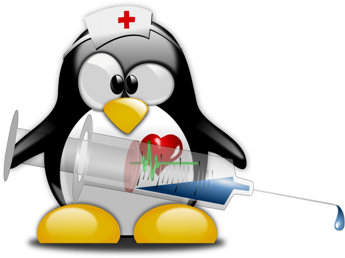 Ο νοσοκόμος tux δεν έχει και πολύ δουλειά να κάνει προκειμένου να κρατήσει το σύστημα μας υγιές. Εκτός αν πάρει δυσμενή μετάθεση σε pc με windows.