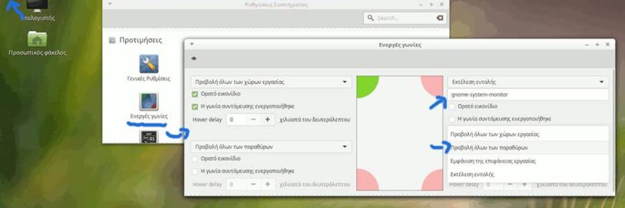 cinnamon-energes-gonies