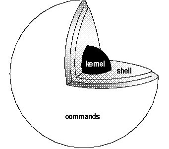 bash-scripting-kernel-purinas-cerebrux-linux