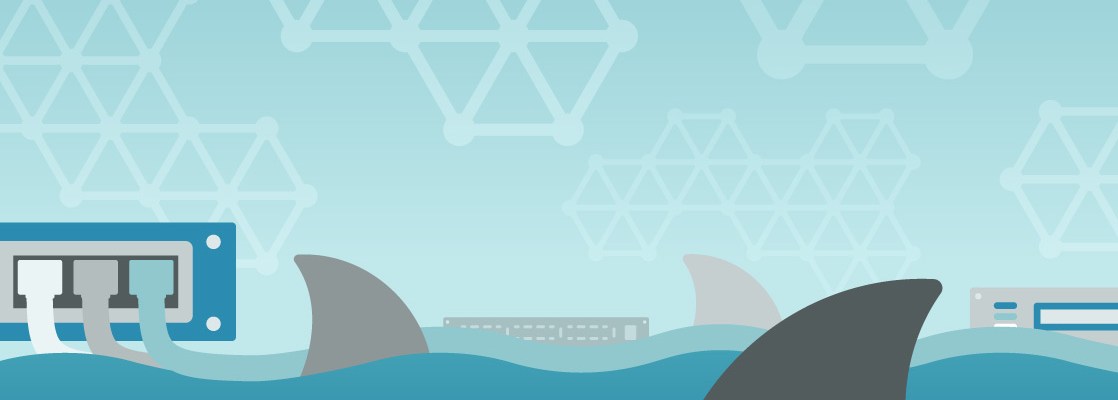 odigos xrhshs wireshark