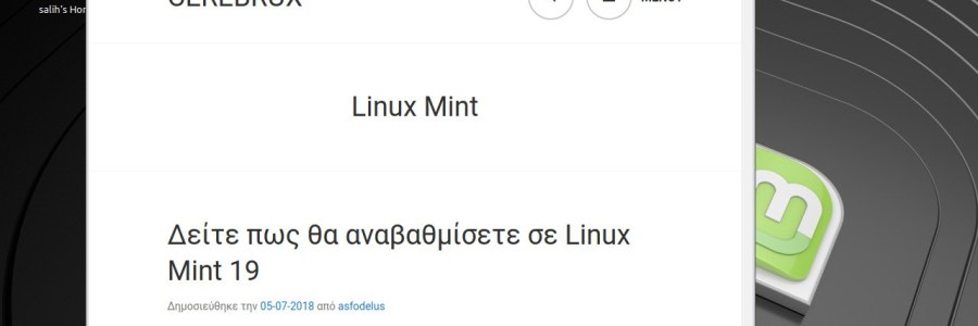 Εγκατάσταση Brave browser σε Linux Mint 19.2