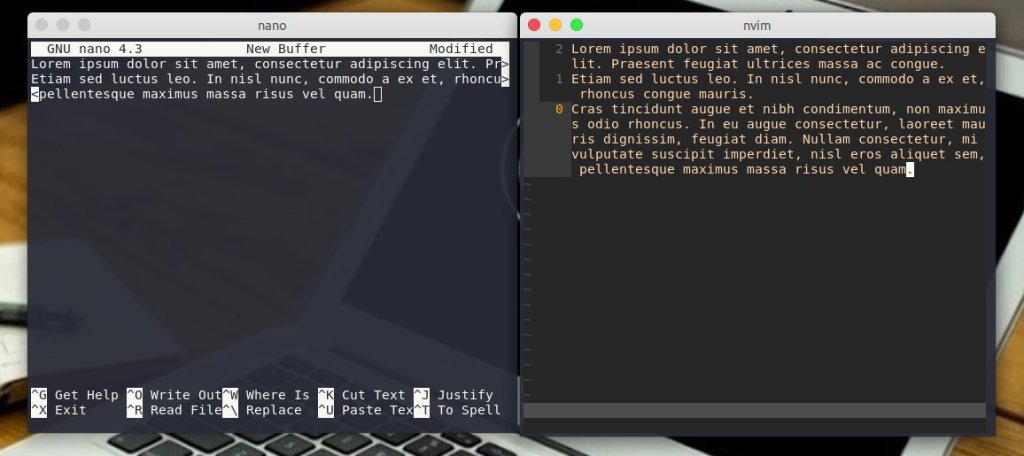 Αριστερά το Nano, δεξιά το (neo)Vim