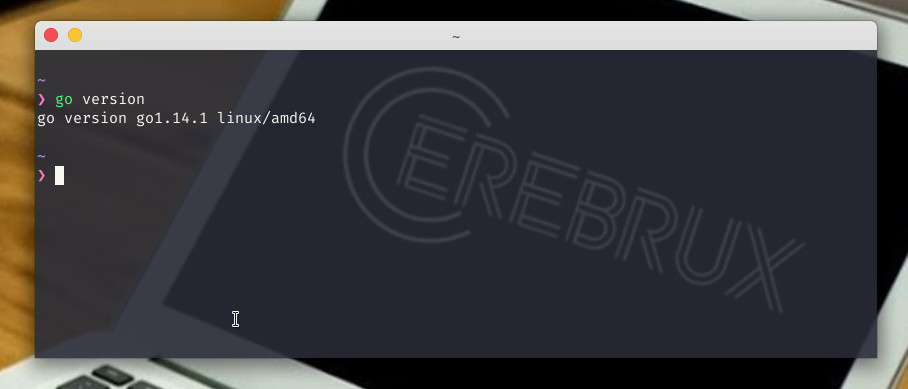 Η go version μας επιστρέφει την έκδοση της Go