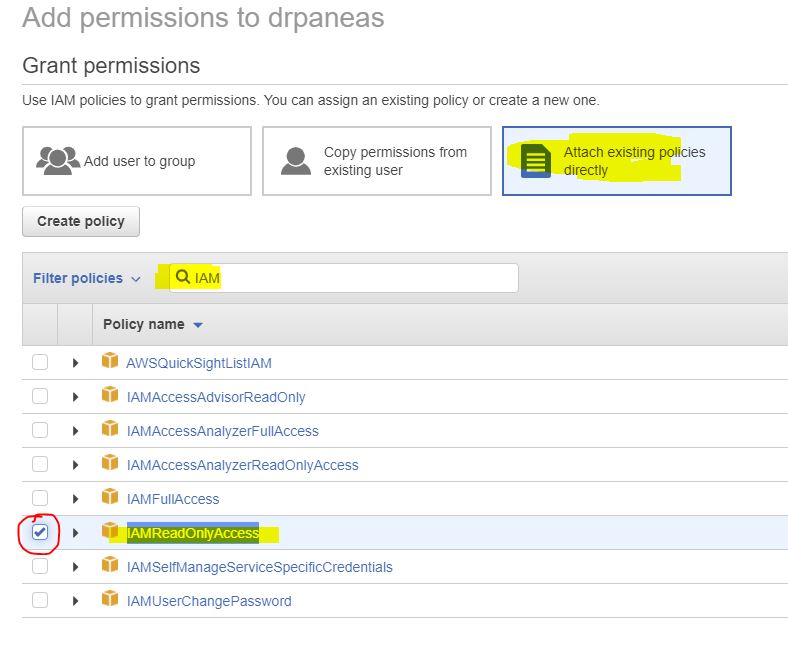 IAMReadOnlyAccess