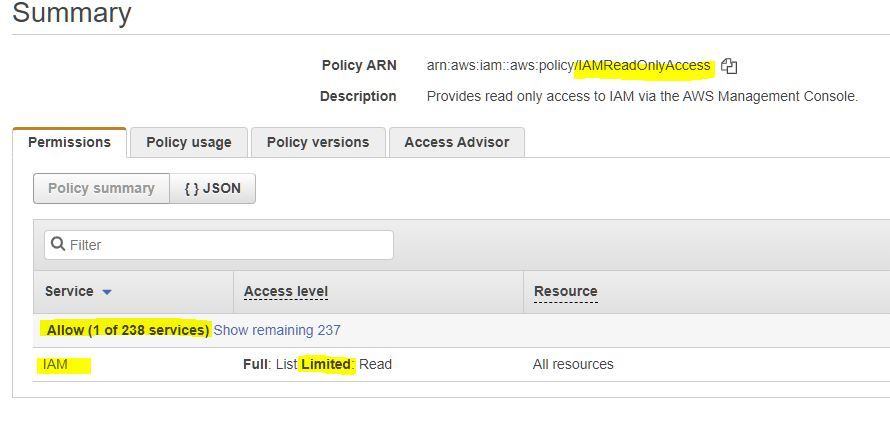το άλλο που του είχαμε βάλει, το IAMReadOnlyAccess