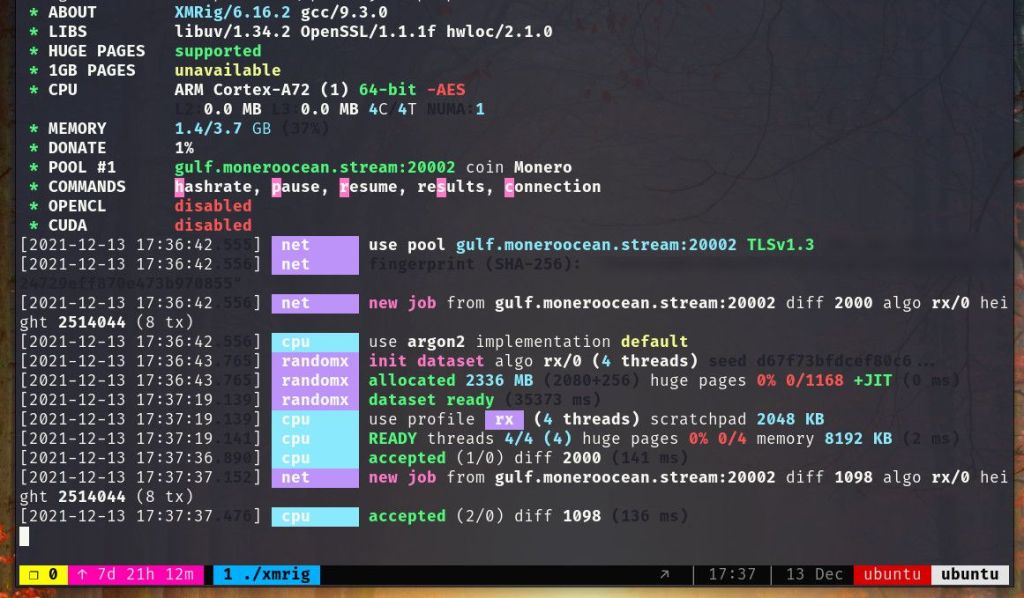 mining monero raspberry pi 4 xmrig